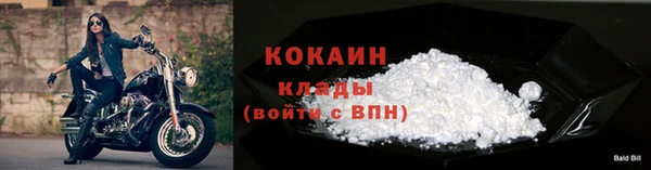 тгк Абинск