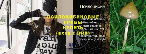 тгк Абинск