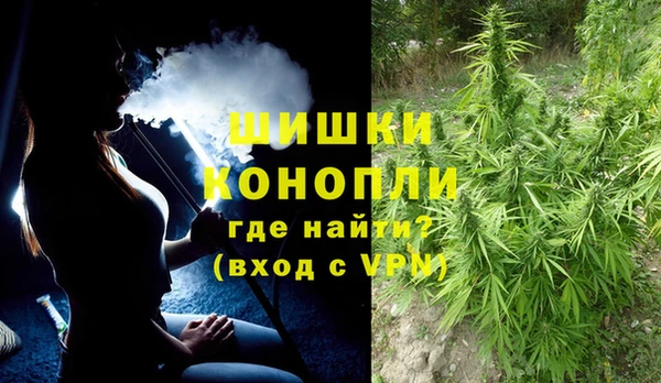 прущие грибы Абдулино