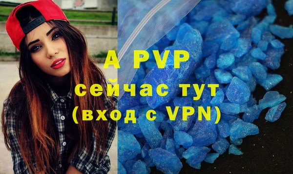 прущие грибы Абдулино