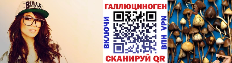 Псилоцибиновые грибы GOLDEN TEACHER  мориарти телеграм  Ялта  ссылка на мегу ссылка 