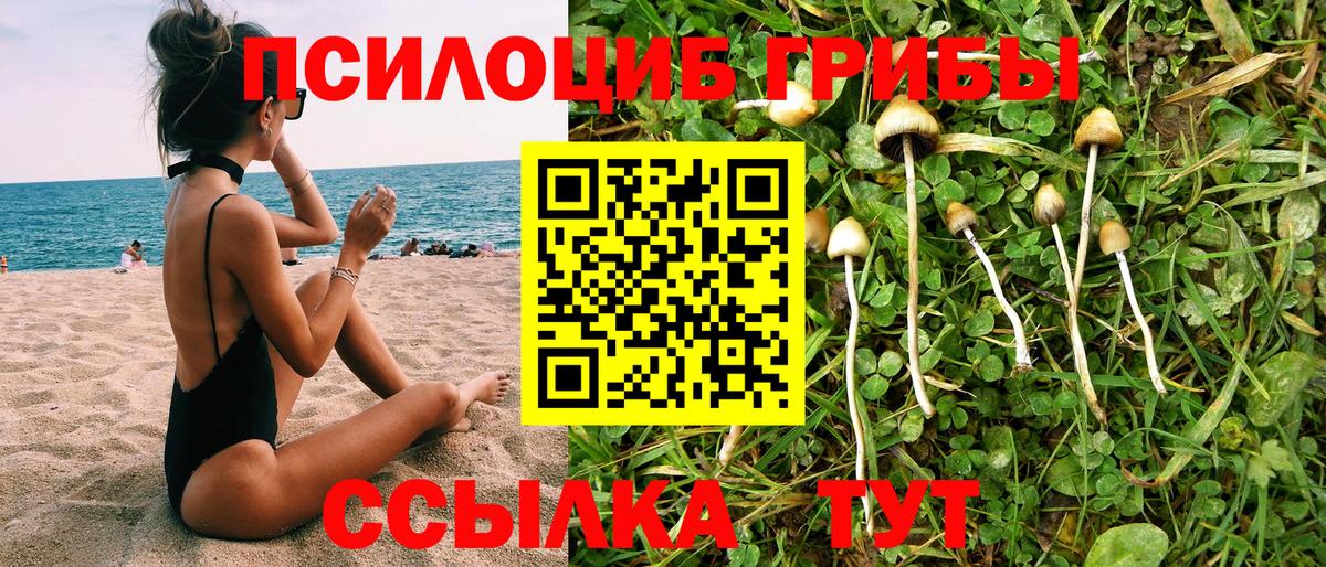 Галлюциногенные грибы MAGIC MUSHROOMS  Вход с VPN  Ялта  наркошоп  Галлюциногенные грибы Psilocybine cubensis 